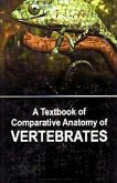 Textbook of Comparative Anatomy of Vertebrates (eBook, ePUB) Textbook of Comparative Anatomy of Vertebrates (eBook, ePUB)