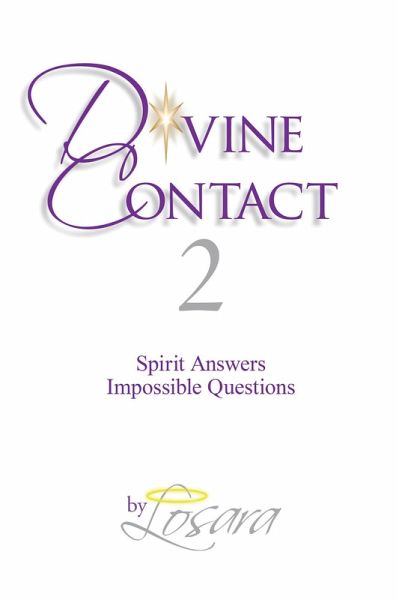 Divine Contact 2 (eBook, ePUB)