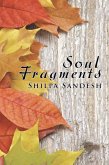 Soul Fragments (eBook, ePUB)