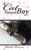 A Cat Named Boy (eBook, ePUB)