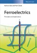 Ferroelectrics (eBook, PDF) - Bild 1