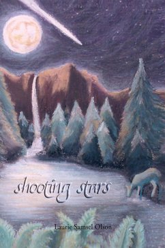 Cover Shooting Stars (eBook, ePUB)
