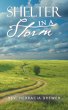 Shelter in a Storm (eBook, ePUB) - Bild 1