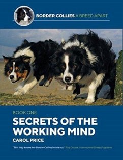 Cover Secrets Of The Working Mind