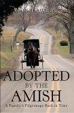 Adopted by the Amish (eBook, ePUB)