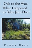 Ode to the Woe, What Happened to Baby Jane Doe? (eBook, ePUB)