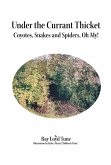 Under the Currant Thicket (eBook, ePUB)