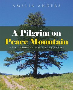 A Pilgrim on Peace Mountain (eBook, ePUB) - Anders, Amelia
