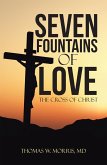 Seven Fountains of Love (eBook, ePUB)