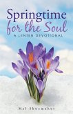 Springtime for the Soul (eBook, ePUB)