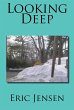 Looking Deep (eBook, ePUB) - Bild 1