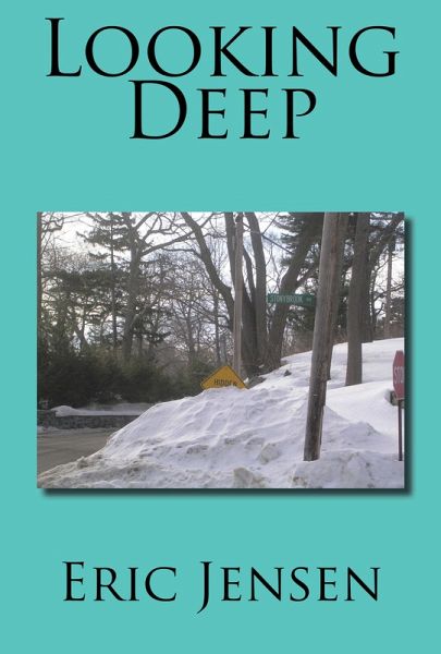 Looking Deep (eBook, ePUB)