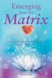 Emerging from the Matrix (eBook, ePUB) - Bild 1