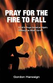 Pray for the Fire to Fall (eBook, ePUB)