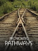 Provoking Pathways (eBook, ePUB)
