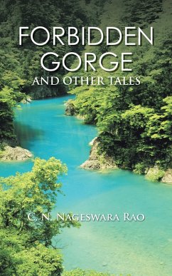 Forbidden Gorge (eBook, ePUB) - Rao, C. N. Nageswara