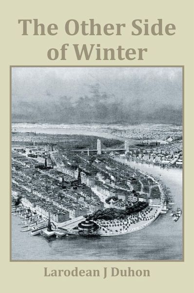 The Other Side of Winter (eBook, ePUB)