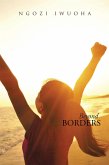 Beyond Borders (eBook, ePUB)