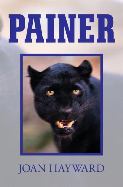 Painer (eBook, ePUB)
