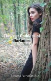 The Last Goddess of Darkness (eBook, ePUB) The Last Goddess of Darkness (eBook, ePUB)