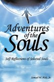 Adventures of the Souls (eBook, ePUB)