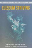 Elizeum Striving (eBook, ePUB)