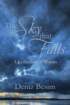 The Sky That Falls (eBook, ePUB) - Besim, Deniz