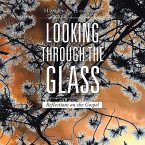 Looking Through the Glass (eBook, ePUB)