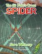 The St John's Cross Spider (eBook, ePUB) - Bild 1
