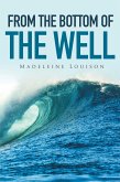 From the Bottom of the Well (eBook, ePUB)