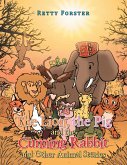 The Lion, the Pig and the Cunning Rabbit and Other Animal Stories (eBook, ePUB)