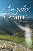 Ángeles En El Camino (eBook, ePUB)