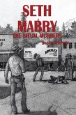 Seth Mabry (eBook, ePUB)