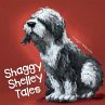 Shaggy Shelley Tales (eBook, ePUB) - Bild 1