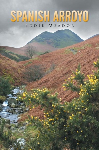 Spanish Arroyo (eBook, ePUB)