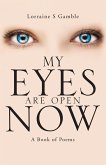My Eyes Are Open Now (eBook, ePUB)