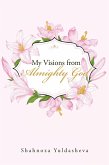My Visions from Almighty God (eBook, ePUB)