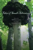 Tales of Small Adventure (eBook, ePUB)