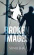 Broken Images (eBook, ePUB) - Bild 1
