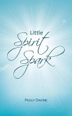Little Spirit Spark (eBook, ePUB)