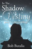 In the Shadow of Destiny (eBook, ePUB)