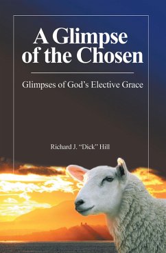 A Glimpse of the Chosen (eBook, ePUB) - Hill, Richard J.