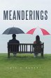 Meanderings (eBook, ePUB) - Bild 1