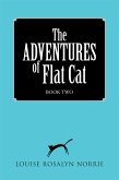 The Adventures of Flat Cat (eBook, ePUB)