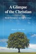 A Glimpse of the Christian (eBook, ePUB) - Bild 1