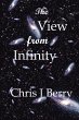 The View from Infinity (eBook, ePUB) - Bild 1