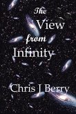 The View from Infinity (eBook, ePUB)
