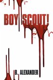 Boy Scout! (eBook, ePUB)