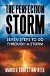 The Perfection Storm (eBook, ePUB) - Bild 1