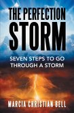 The Perfection Storm (eBook, ePUB)